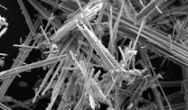 Anthophyllite Asbestos Scanning Electron Microscopy