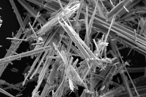 Anthophyllite Asbestos Scanning Electron Microscopy