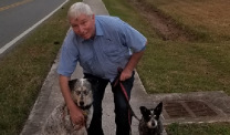 Kevin Hession walking his dogs