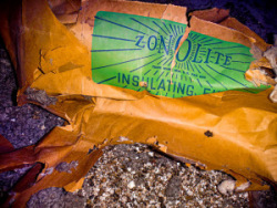 Zonolite Insulation