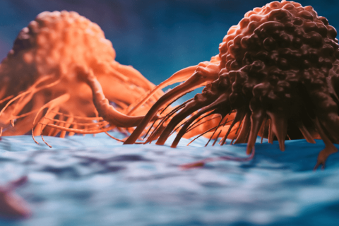 up close illustrated imagery of cancer cells