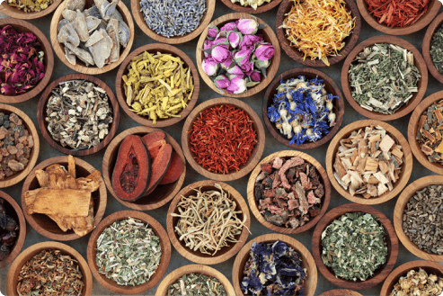 Traditional medicine herbs