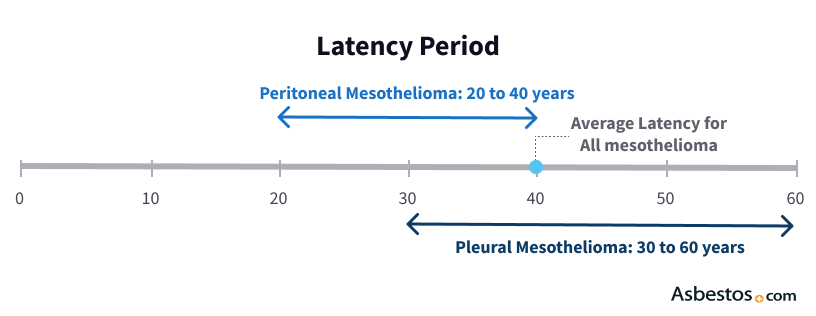 How Long Is The Mesothelioma Latency Period 