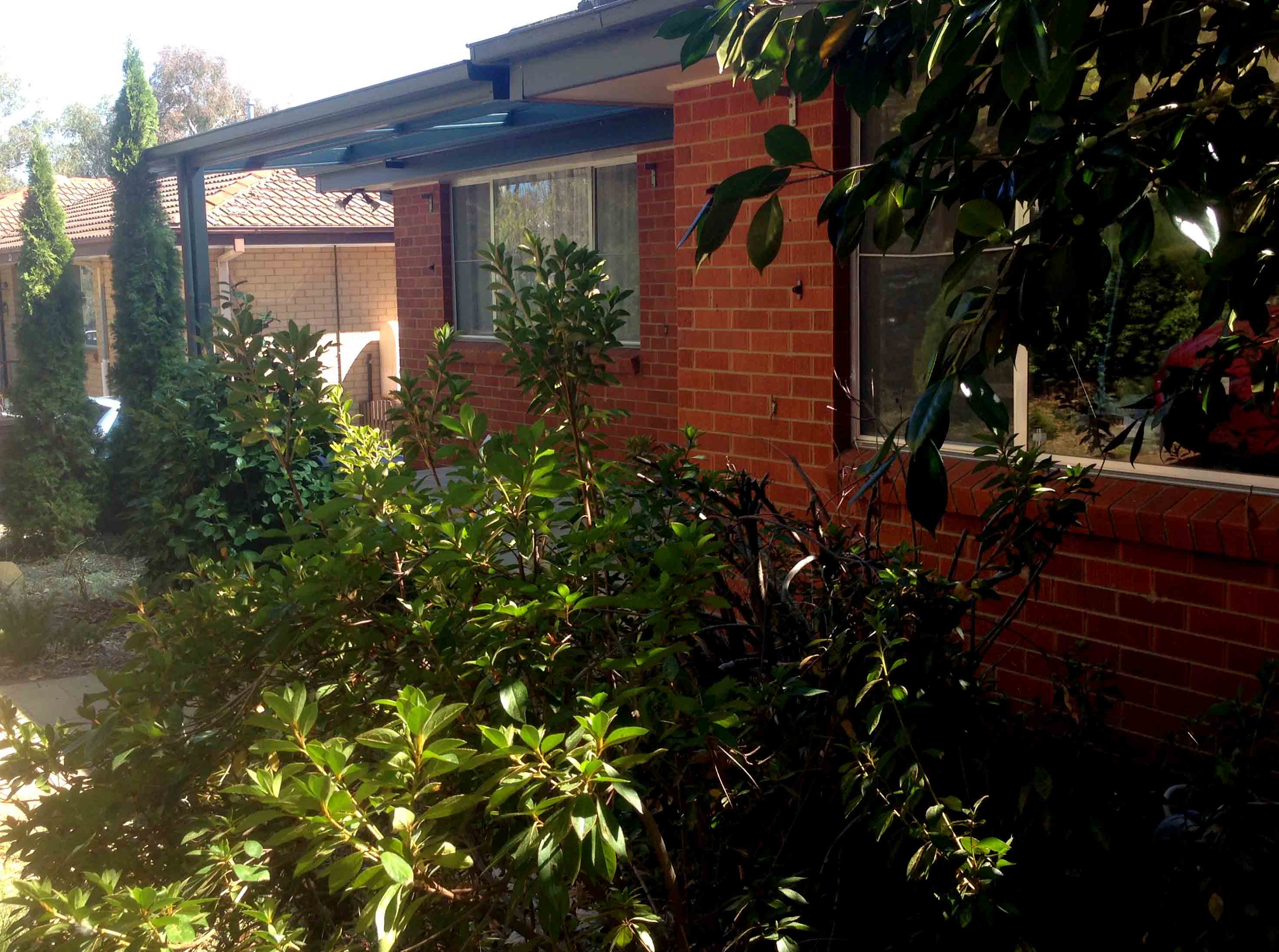 Asbestos Forces Young Family From Their Mr Fluffy Home