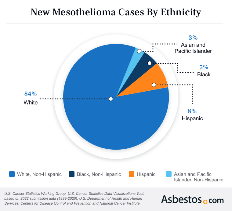 Mesothelioma Cases By Ethnicity