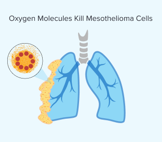 Oxygen molecules kill mesothelioma cells