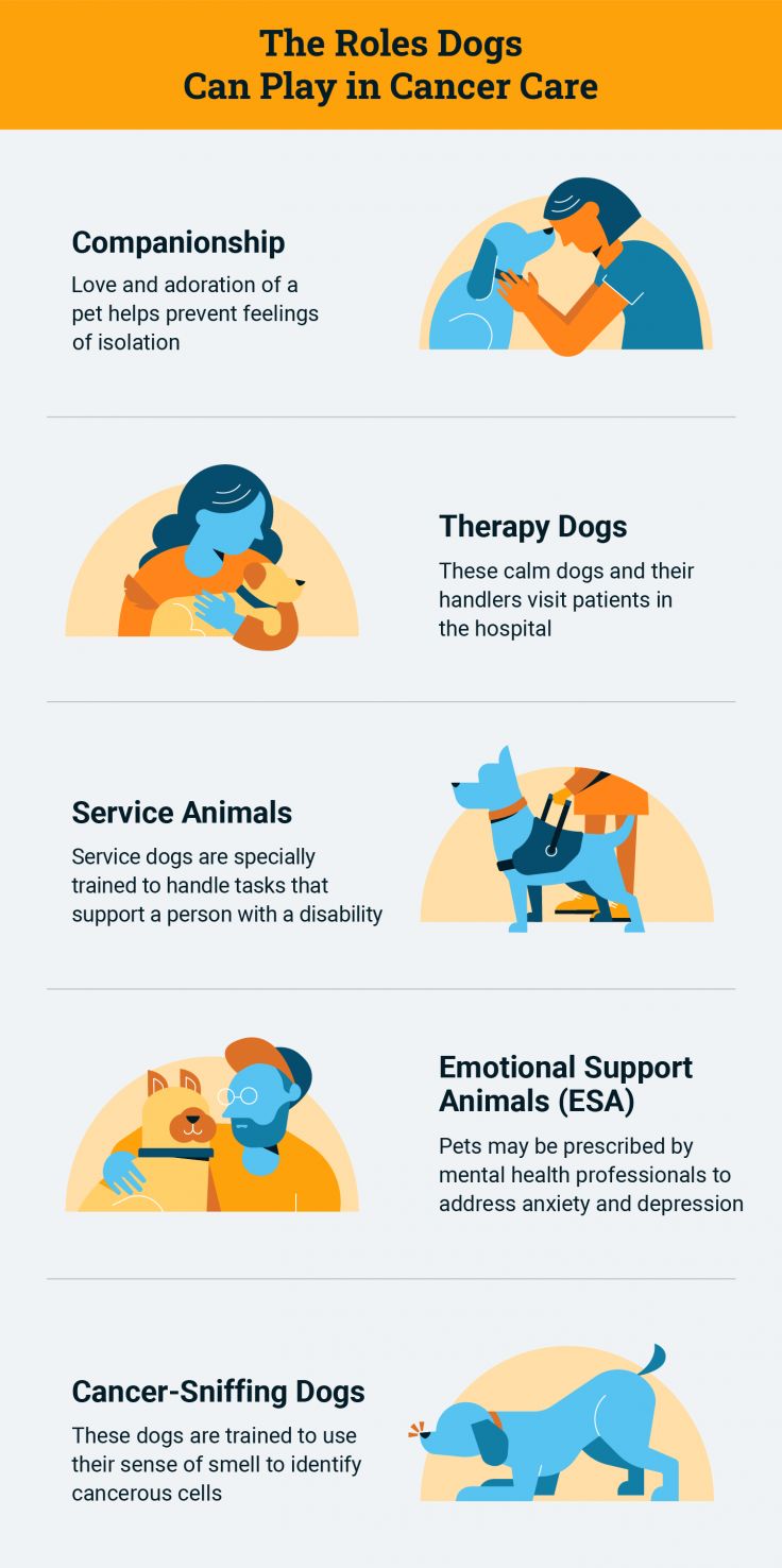 what can you give dogs for cancer pain