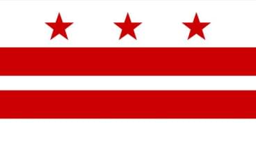 Washington D.C. State Flag